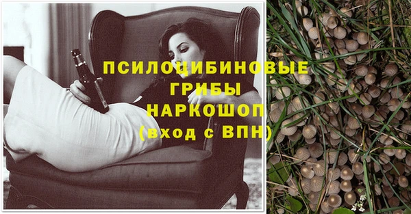 хмурый Переславль-Залесский