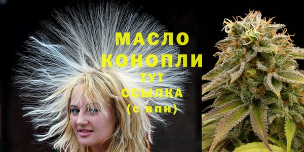 дмт Пересвет