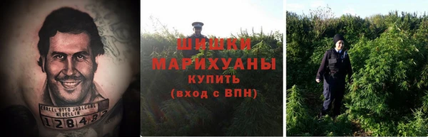 дмт Пересвет