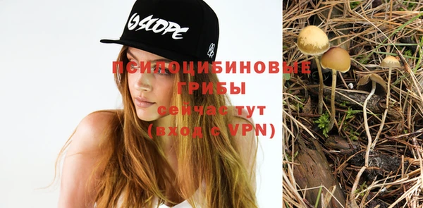 дмт Пересвет
