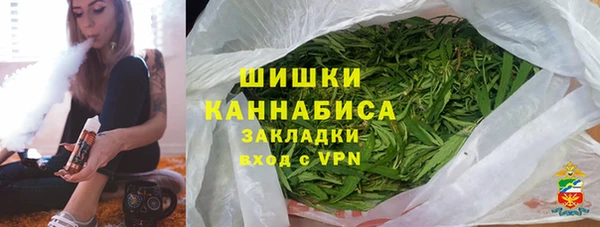 дмт Пересвет