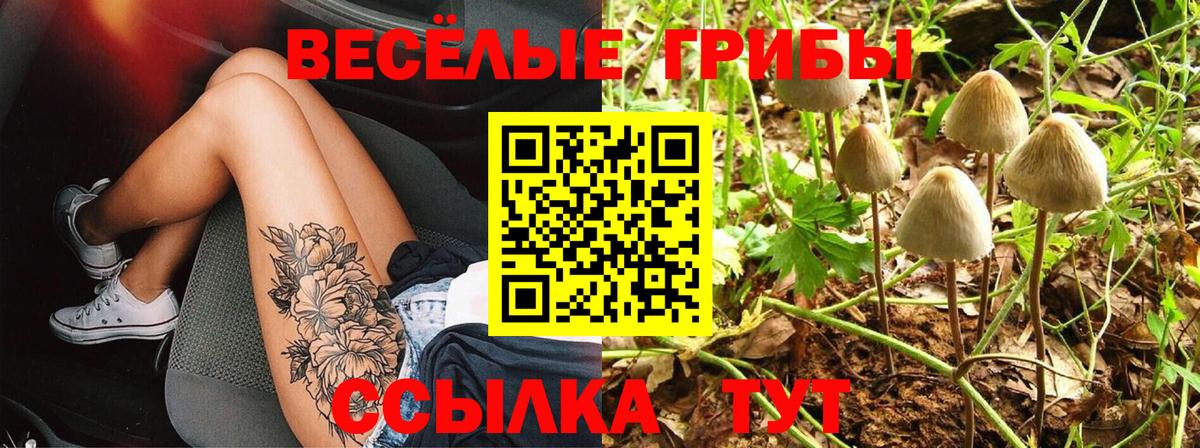 Галлюциногенные грибы ЛСД  Вход с VPN  Тамбов  цена   Псилоцибиновые грибы Psilocybe 