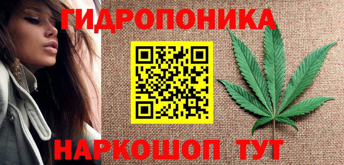Каннабис индика Тамбов